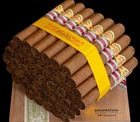 DIPLOMATICOS GENIOS 50 CIGARS - RE 2022
