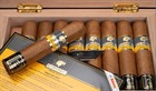 COHIBA SIGLO DE ORO 18 CIGARS  YEAR OF THE RABBIT