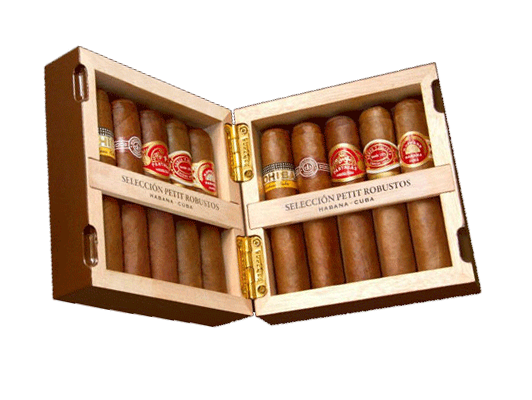 COMBINACIONES SELECCION PETIT ROBUSTOS 10 Cigars