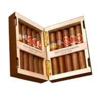 COMBINACIONES SELECCION PETIT ROBUSTOS 10 Cigars COMBINACIONES SELECCION PETIT ROBUSTOS 10 Cigars