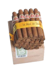 HOYO LE HOYO DU DEPUTE 25 Cigars