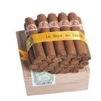 HOYO LE HOYO DU DEPUTE 25 Cigars