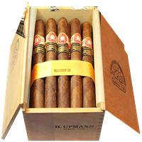 H. Upmann Magnum 50 Cabinet of 25 Cigars