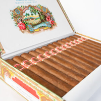 SAINT LUIS REY REGIOS 25 Cigars